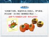 人教版 (新課標(biāo))高中生物必修3 3-3《其他植物激素》課件