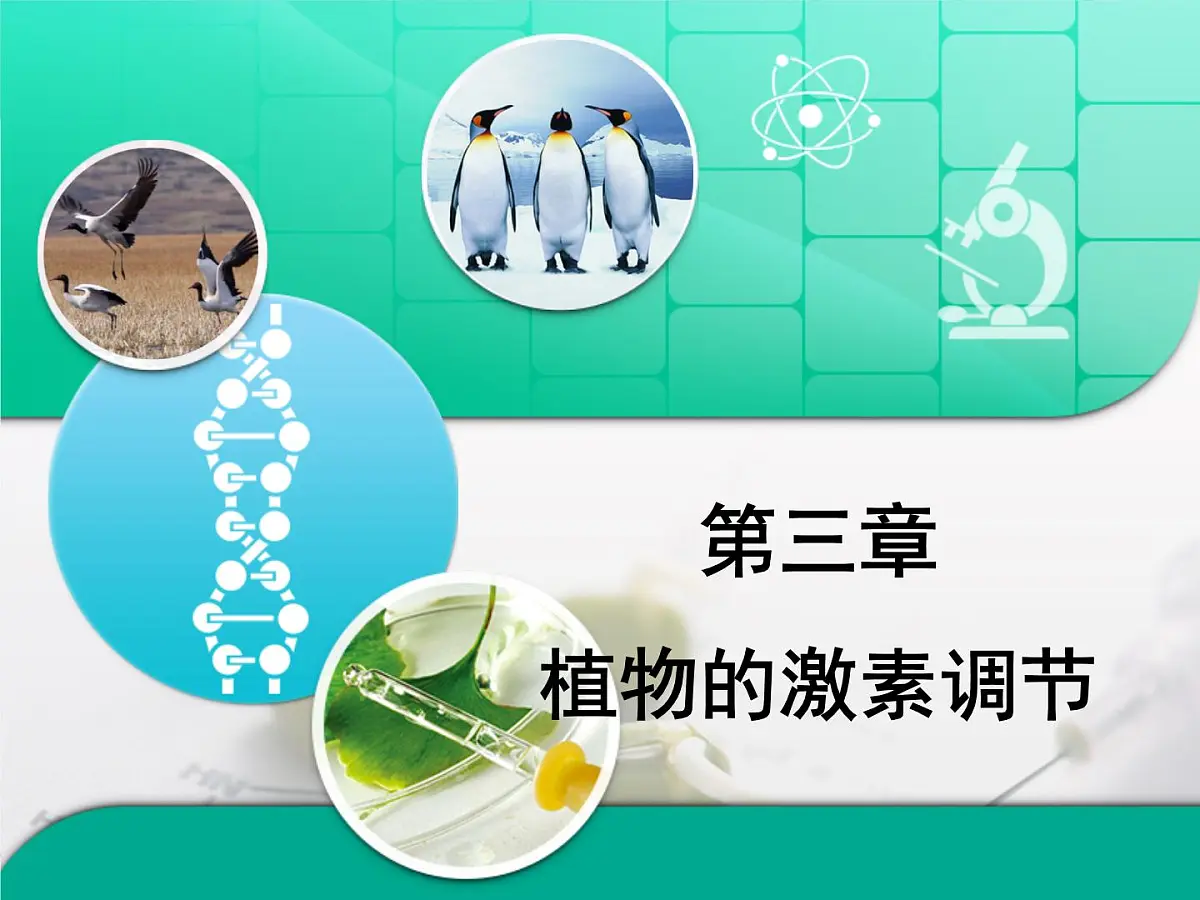 人教版 (新课标)高中生物必修3 第三章《植物的激素调节》复习课件第1页
