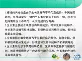 人教版 (新課標(biāo))高中生物必修3 第三章《植物的激素調(diào)節(jié)》復(fù)習(xí)課件