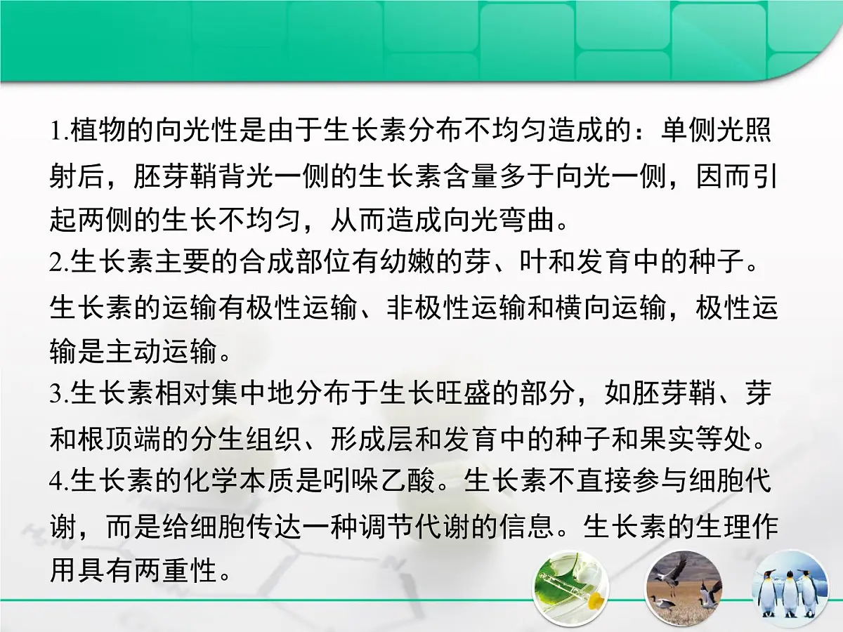 人教版 (新课标)高中生物必修3 第三章《植物的激素调节》复习课件第3页