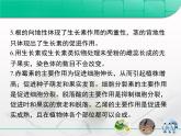 人教版 (新課標(biāo))高中生物必修3 第三章《植物的激素調(diào)節(jié)》復(fù)習(xí)課件