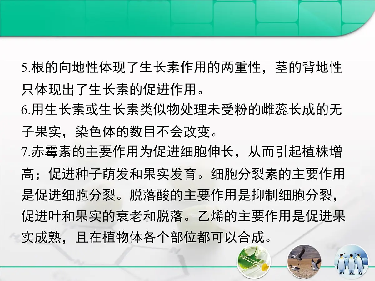 人教版 (新课标)高中生物必修3 第三章《植物的激素调节》复习课件第4页