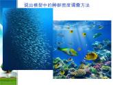 人教版 (新課標(biāo))高中生物必修3 4-1《種群的特征》（第2課時）課件