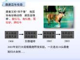 人教版 (新課標(biāo))高中生物必修3 4-1《種群的特征》課件