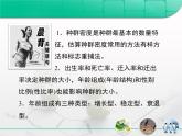 人教版 (新課標(biāo))高中生物必修3 4-1《種群的特征》復(fù)習(xí)課件