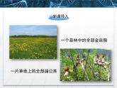 人教版 (新課標(biāo))高中生物必修3 4-1《種群的特征》課件