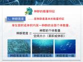 人教版 (新課標(biāo))高中生物必修3 4-1《種群的特征》課件