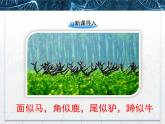 人教版 (新課標(biāo))高中生物必修3 4-1《種群的特征》課件