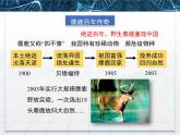 人教版 (新課標(biāo))高中生物必修3 4-1《種群的特征》課件