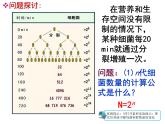 人教版 (新課標)高中生物必修3 4-2《種群數(shù)量的變化》課件