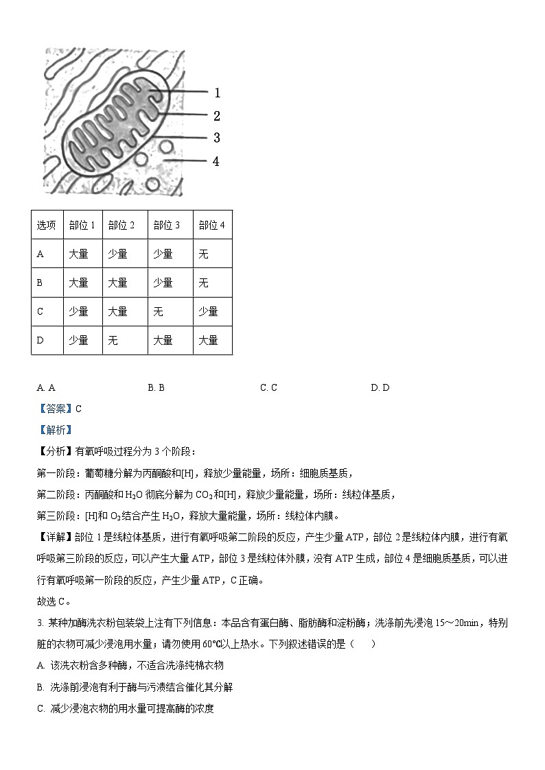 精品解析：2025高考北京卷生物真题试卷（解析版）.docx第2页