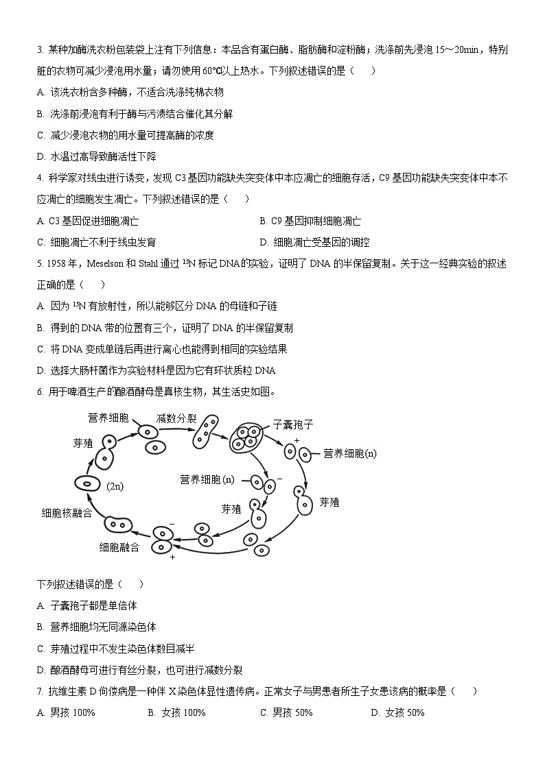 精品解析：2025高考北京卷生物真题试卷（原卷版）.docx第2页