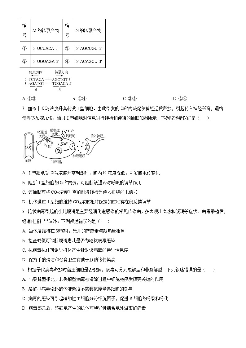 精品解析：2025高考河北卷生物真题试卷（原卷版）第2页