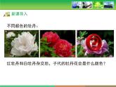 人教版 (新課標(biāo))高中生物 必修2 1-1《孟德爾的豌豆雜交實(shí)驗(yàn)（一）》第1課時(shí)教學(xué)課件