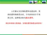 人教版 (新課標(biāo))高中生物 必修2 1-1《孟德爾的豌豆雜交實(shí)驗(yàn)（一）》第1課時(shí)教學(xué)課件