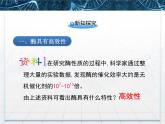 人教版 (新課標(biāo))高中生物必修1 5-1《降低化學(xué)反應(yīng)活化能的酶》第2課時(shí)課件