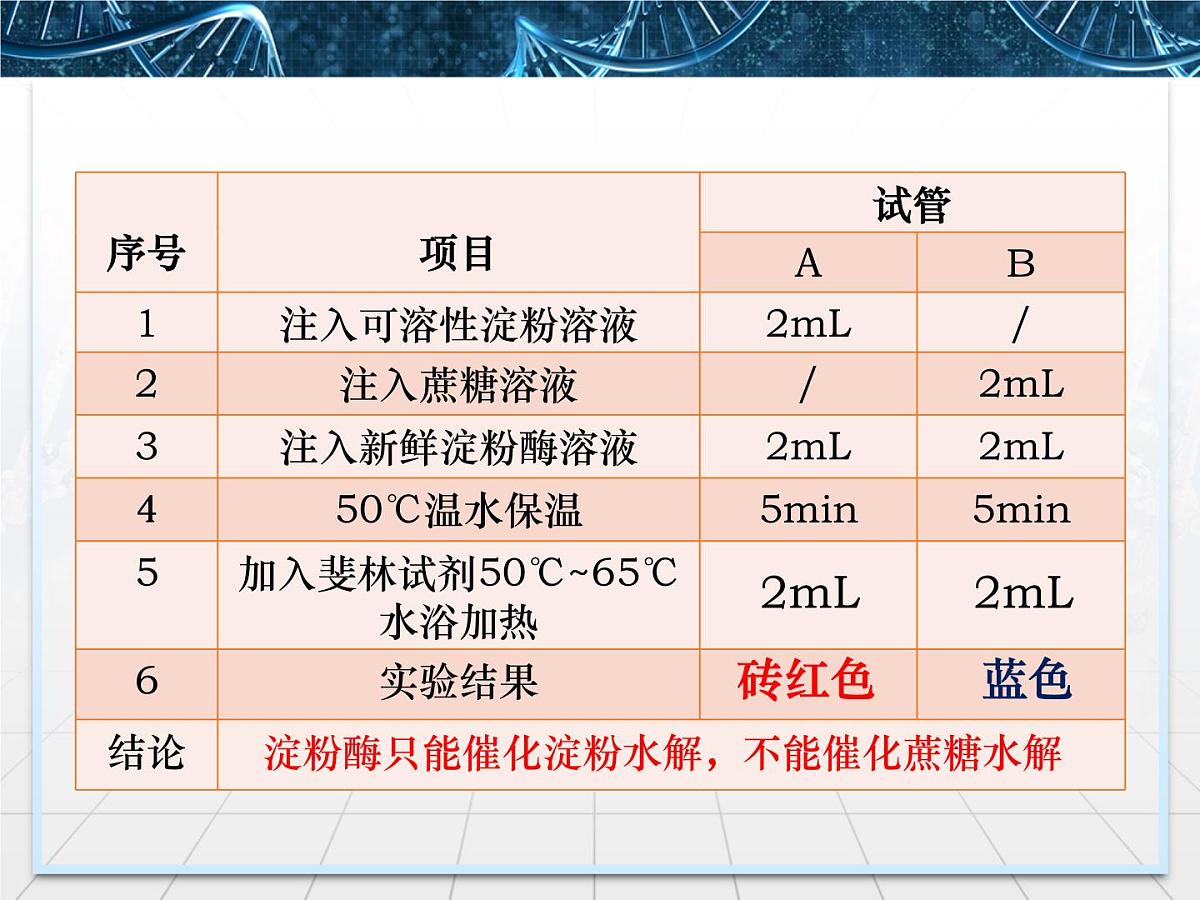 人教版 (新课标)高中生物必修1 5-1《降低化学反应活化能的酶》第2课时课件第8页