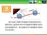 人教版 (新課標(biāo))高中生物必修2 4-3《遺傳密碼的破譯》課件