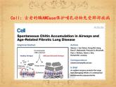 人教版 (新課標(biāo))高中生物必修1 5-1《降低化學(xué)反應(yīng)活化能的酶》（第1課時(shí)）課件