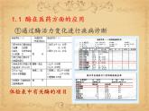 人教版 (新課標(biāo))高中生物必修1 5-1《降低化學(xué)反應(yīng)活化能的酶》（第1課時(shí)）課件