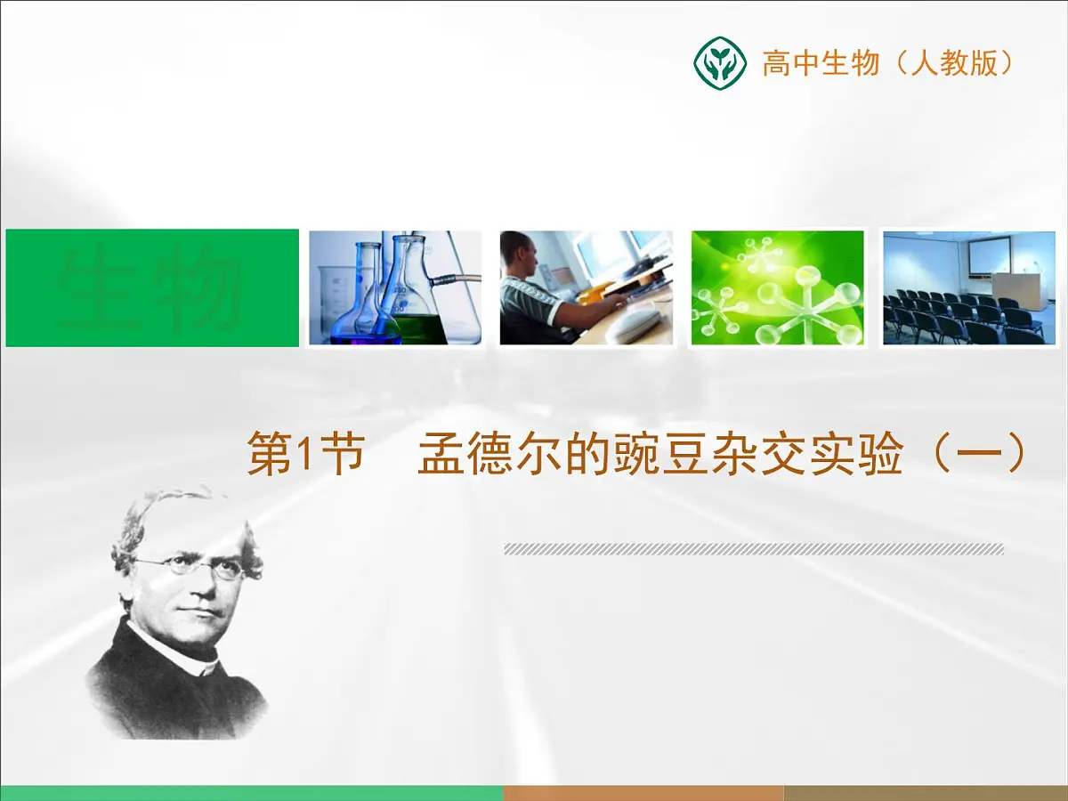 人教版 (新课标)高中生物 必修2 1-1《孟德尔的豌豆杂交实验（一）》复习课件第1页