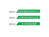 人教版 (新課標(biāo))高中生物 必修2 1-1《孟德爾的豌豆雜交實(shí)驗(yàn)（一）》復(fù)習(xí)課件