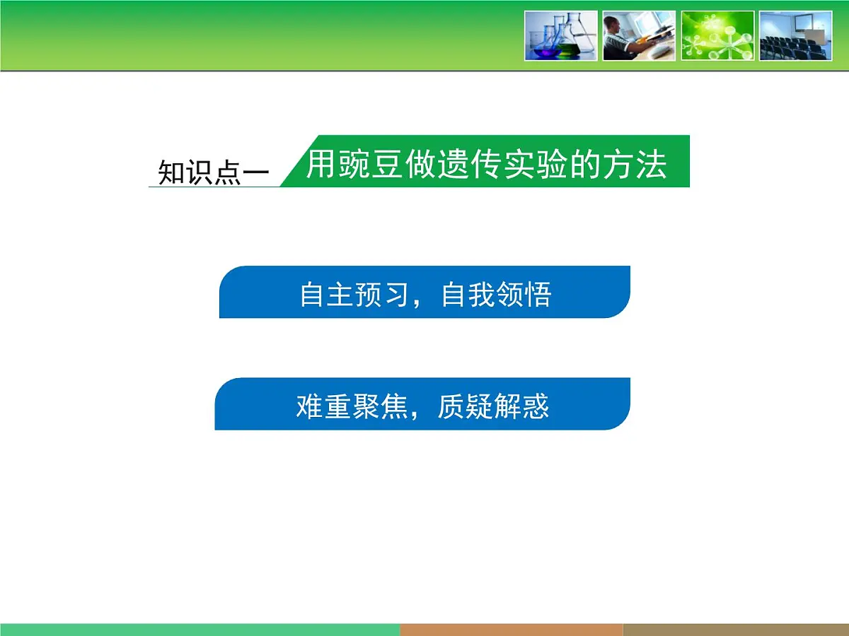 人教版 (新课标)高中生物 必修2 1-1《孟德尔的豌豆杂交实验（一）》复习课件第3页