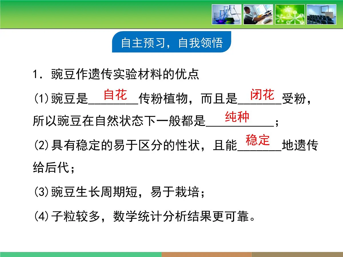 人教版 (新课标)高中生物 必修2 1-1《孟德尔的豌豆杂交实验（一）》复习课件第4页