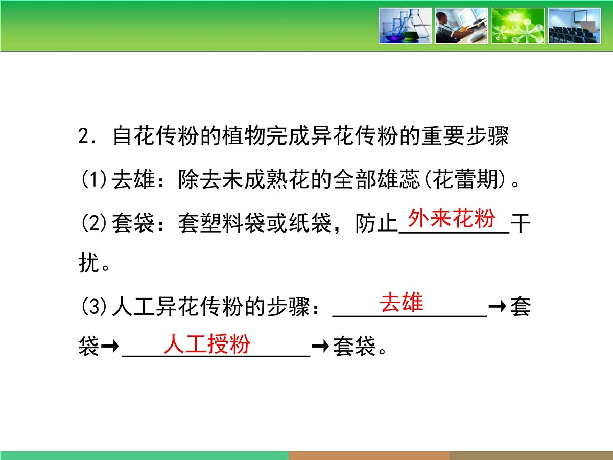人教版 (新课标)高中生物 必修2 1-1《孟德尔的豌豆杂交实验（一）》复习课件第5页