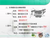 人教版 (新課標(biāo))高中生物必修1 4-1《生物膜和物質(zhì)跨膜運(yùn)輸》第一部分復(fù)習(xí)課件