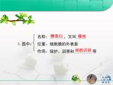 人教版 (新課標(biāo))高中生物必修1 4-1《生物膜和物質(zhì)跨膜運(yùn)輸》第一部分復(fù)習(xí)課件