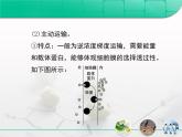人教版 (新課標(biāo))高中生物必修1 4-1《生物膜和物質(zhì)跨膜運(yùn)輸》第二部分復(fù)習(xí)課件