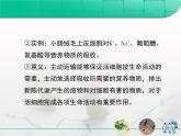 人教版 (新課標(biāo))高中生物必修1 4-1《生物膜和物質(zhì)跨膜運(yùn)輸》第二部分復(fù)習(xí)課件