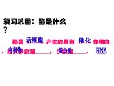 人教版 (新課標(biāo))高中生物必修1 5-1《降低化學(xué)反應(yīng)活化能的酶》（第2課時(shí)）課件