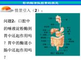 人教版 (新課標(biāo))高中生物必修1 5-1《降低化學(xué)反應(yīng)活化能的酶》（第2課時(shí)）課件