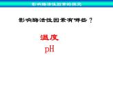 人教版 (新課標(biāo))高中生物必修1 5-1《降低化學(xué)反應(yīng)活化能的酶》（第2課時(shí)）課件