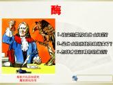 人教版 (新課標(biāo))高中生物必修1 5-1《降低化學(xué)反應(yīng)活化能的酶（第1課時(shí)）》課件