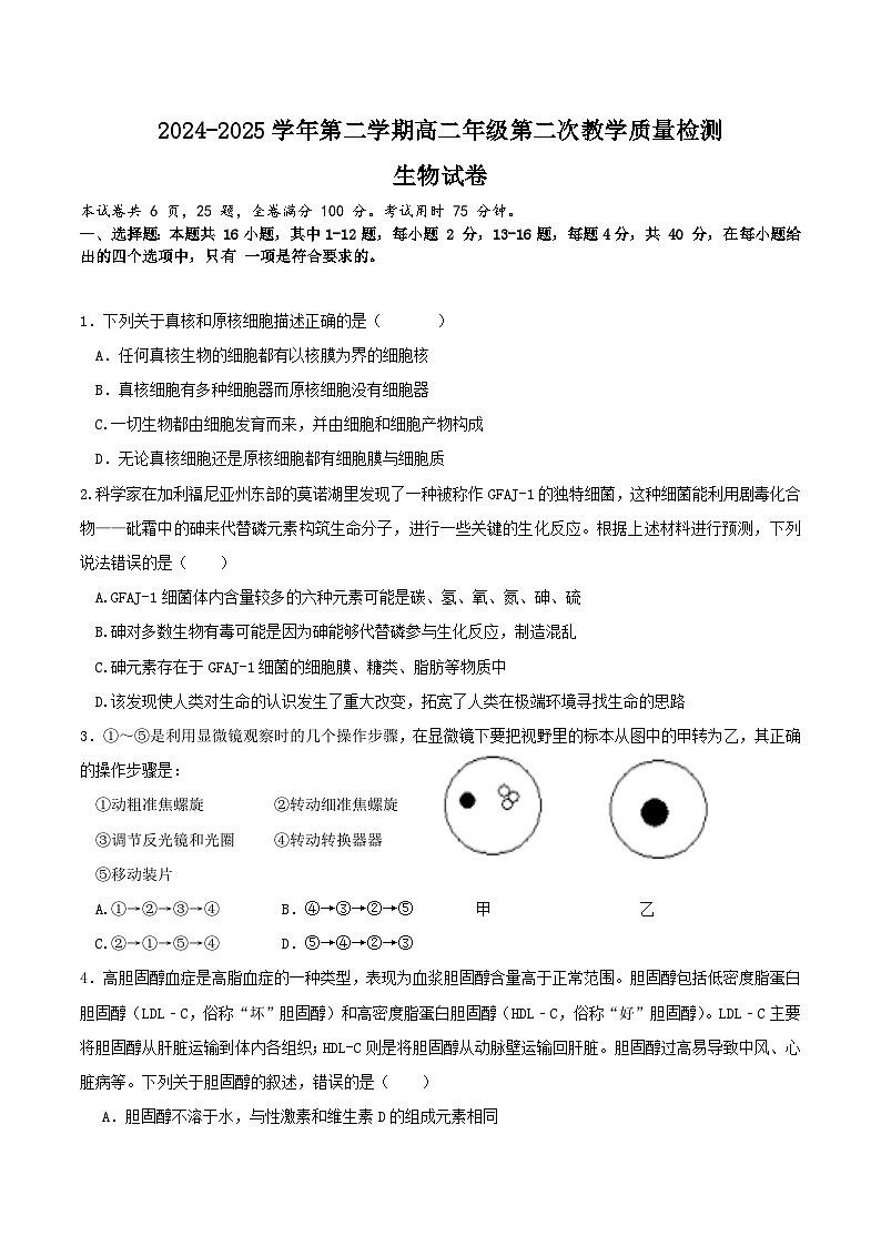 广东省肇庆市四校2024-2025学年高二下学期第二次教学质量检测试题 生物 Word版含答案第1页