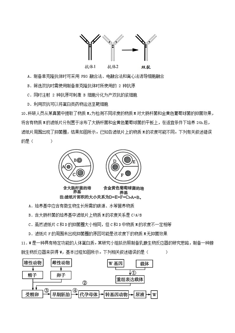 广东省肇庆市四校2024-2025学年高二下学期第二次教学质量检测试题 生物 Word版含答案第3页