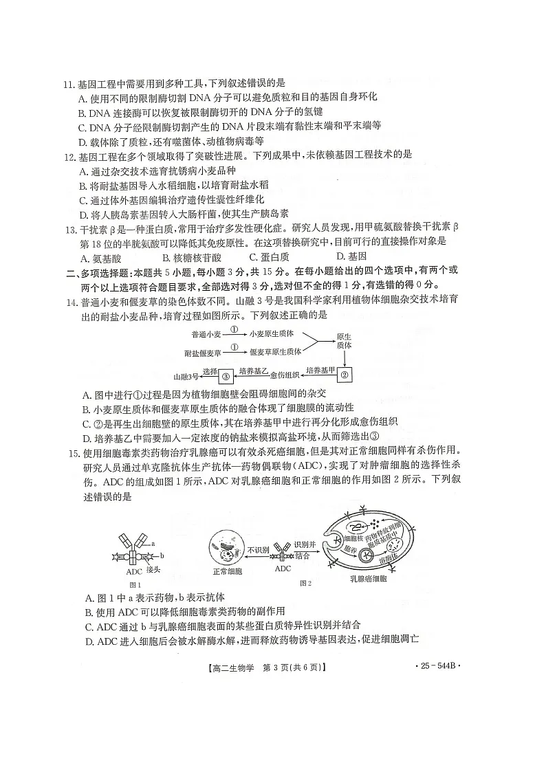 河北省邢台市卓越联盟2024-2025学年高二下学期6月月考生物试题第3页