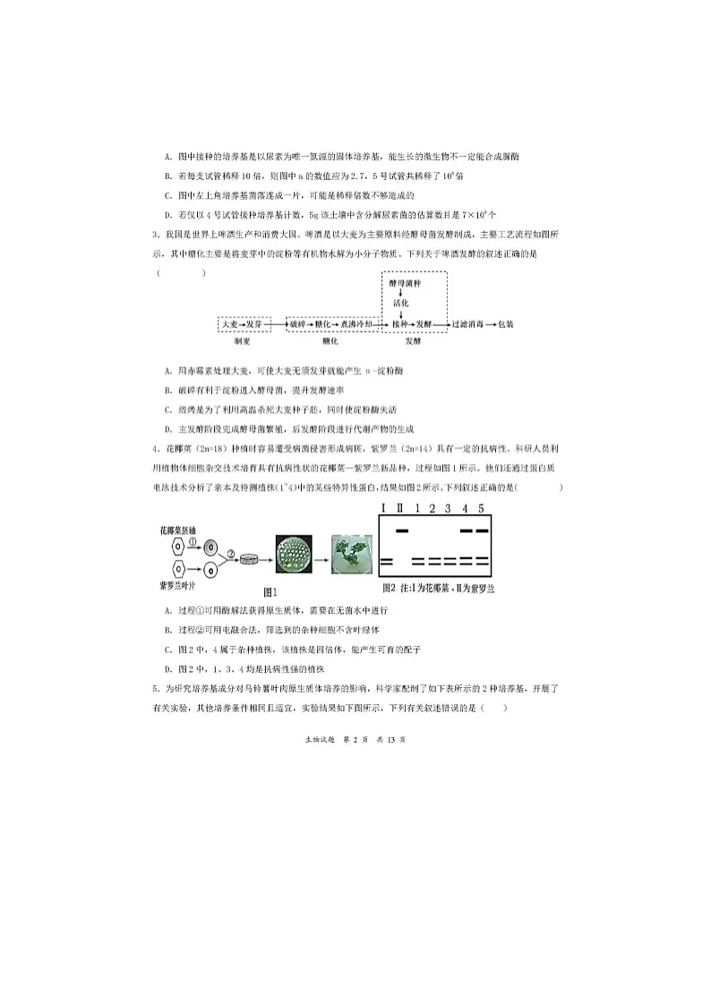 吉林通化梅河口五中2023-2024学年高二下6月月考生物试卷含答案第2页