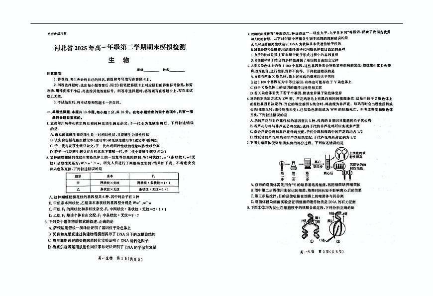 河北省雄安新区2024-2025学年高一下学期6月期末生物试题第1页