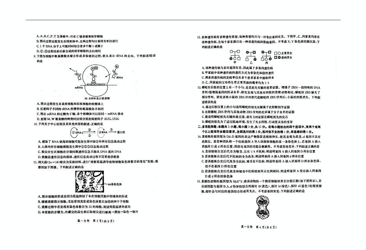 河北省雄安新区2024-2025学年高一下学期6月期末生物试题第2页