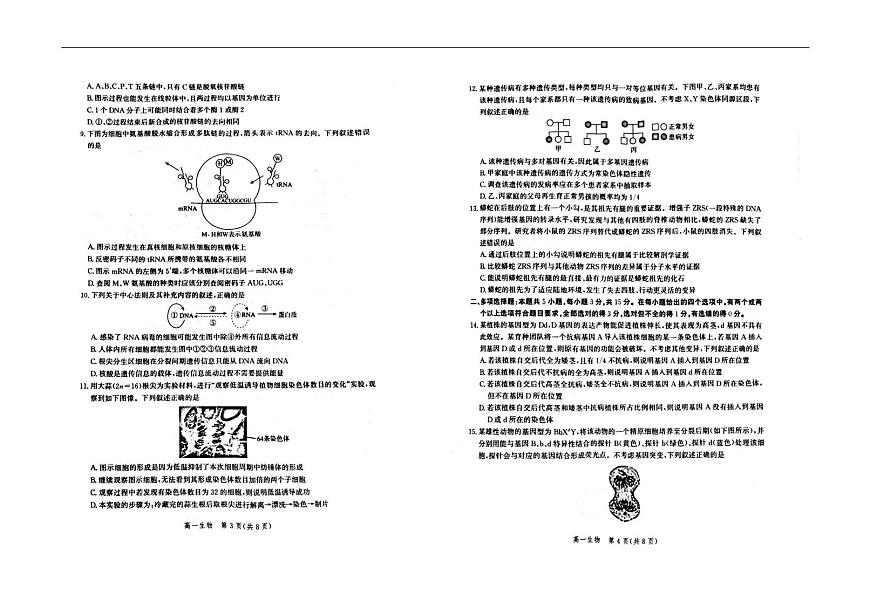河北省雄安新区2024-2025学年高一下学期6月期末生物试题第2页