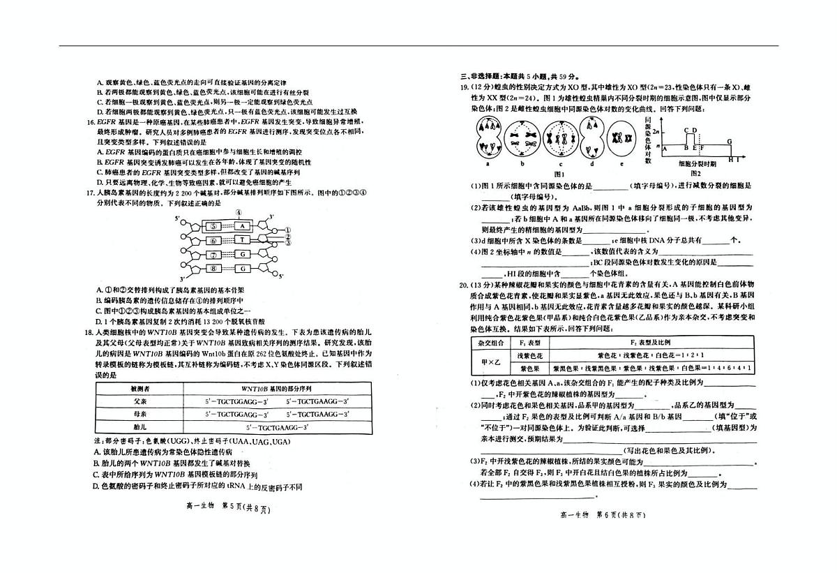 河北省雄安新区2024-2025学年高一下学期6月期末生物试题第3页