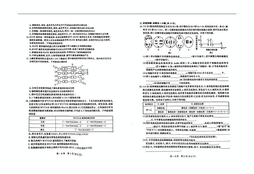 河北省雄安新区2024-2025学年高一下学期6月期末生物试题第3页