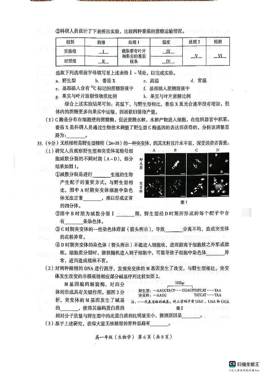 北京海淀海淀区2024-2025学年高一下学期期末练习生物学试题第3页