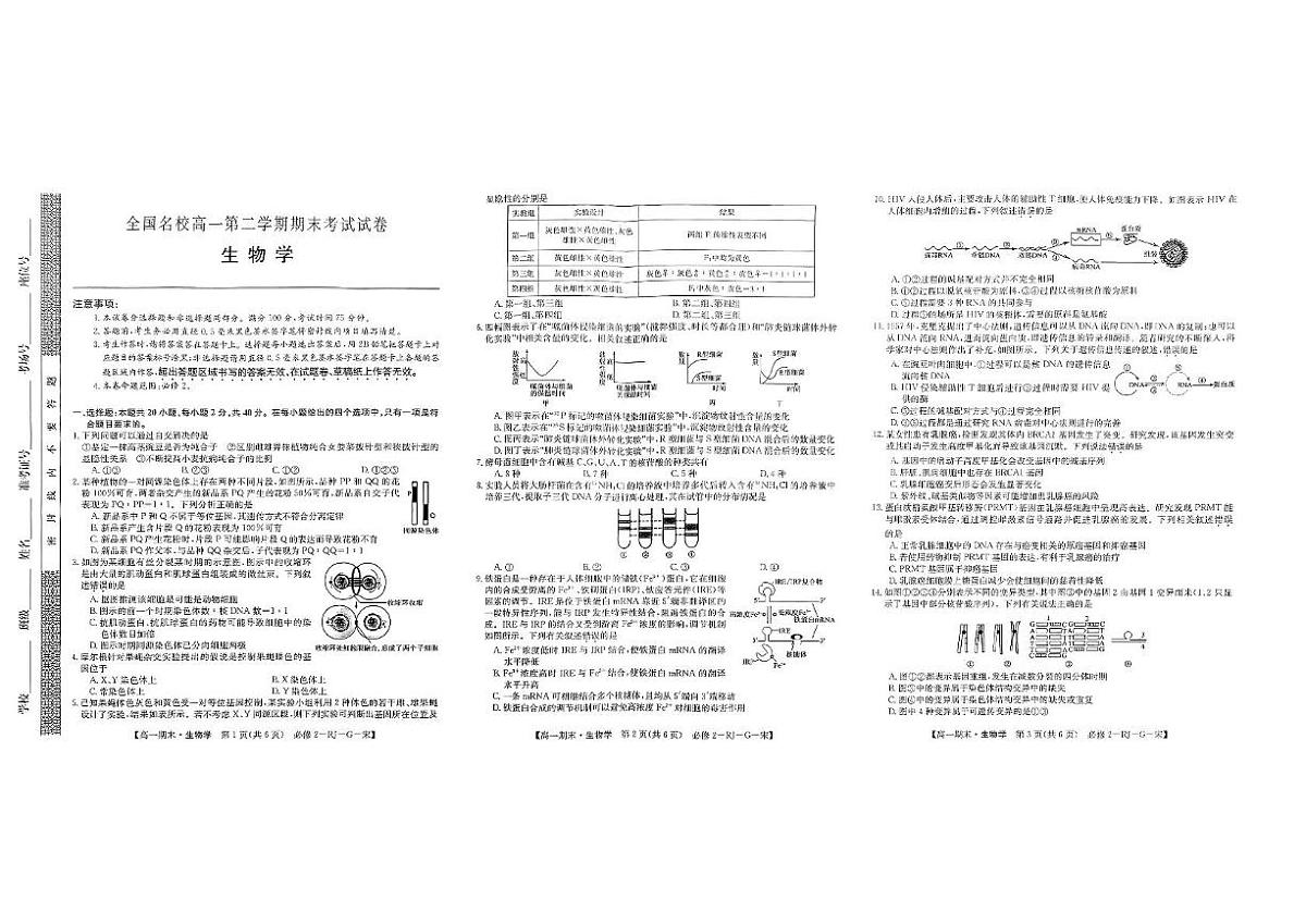 甘肃省全国名校2024--2025学年高一下学期期末生物试卷第1页