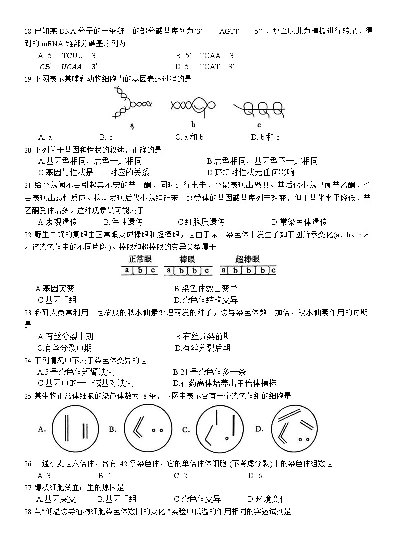 江苏省扬州大学附属中学2024-2025学年高一下学期期末考试生物试题第3页