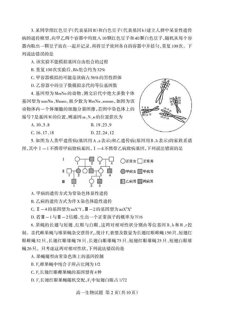 （教研室提供）山东省泰安市2023-2024学年高一下学期期末考试生物试题第2页